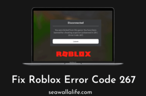 Fix-Roblox-Error-Code-267.png