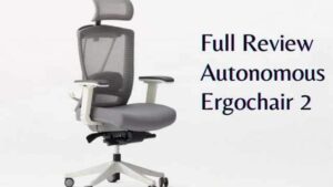 Full-Review-Autonomous-Ergochair-2-1.jpg