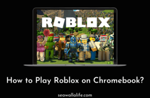 How-to-Play-Roblox-on-Chromebook.png