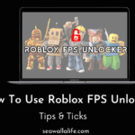 Roblox-FPS-Unlockers-Does-it-Allowed-to-Use.png