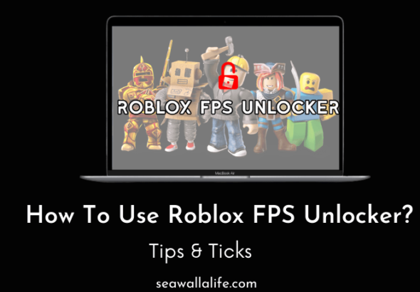 Roblox-FPS-Unlockers-Does-it-Allowed-to-Use.png