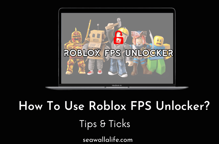 Roblox-FPS-Unlockers-Does-it-Allowed-to-Use.png