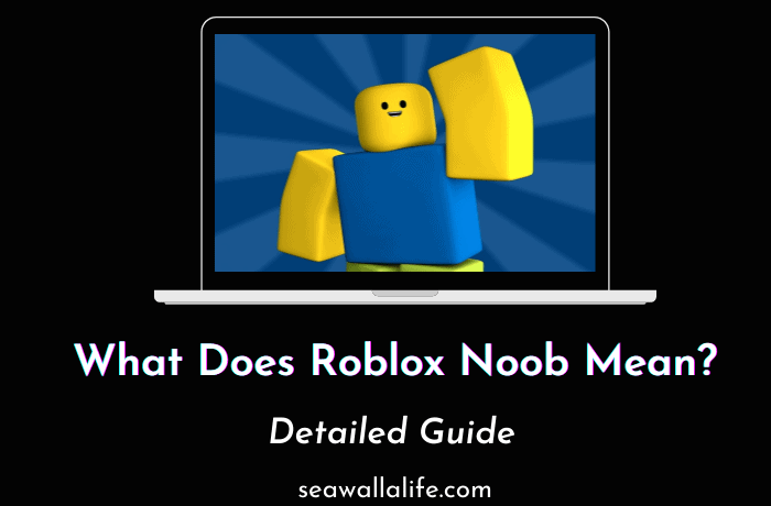 What-Does-Roblox-Noob-Mean-Everything-You-Need-To-Know.png